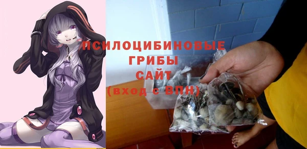 дживик Зеленодольск