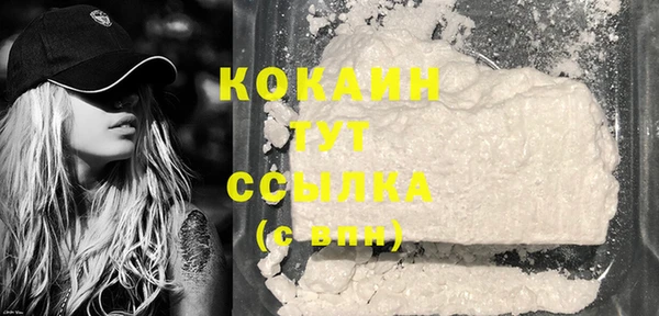 стаф Каменногорск