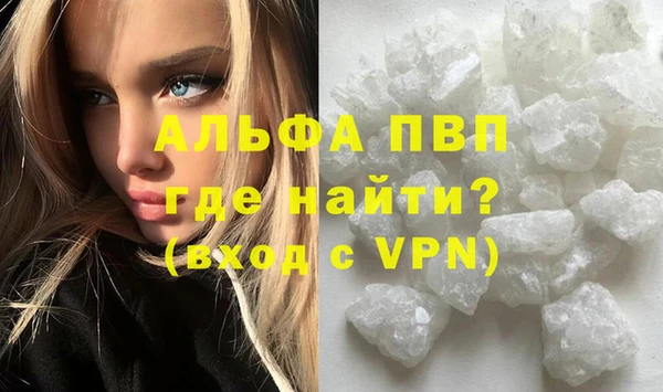 стаф Каменногорск