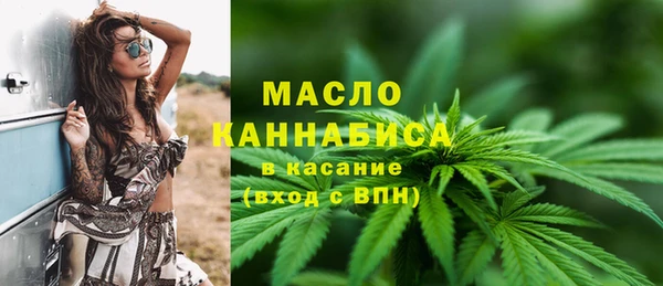 гашик Инсар