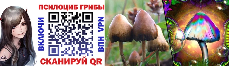 Псилоцибиновые грибы MAGIC MUSHROOMS  Ленинск 
