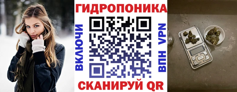 магазин    Ленинск  mega рабочий сайт  Бошки марихуана марихуана 